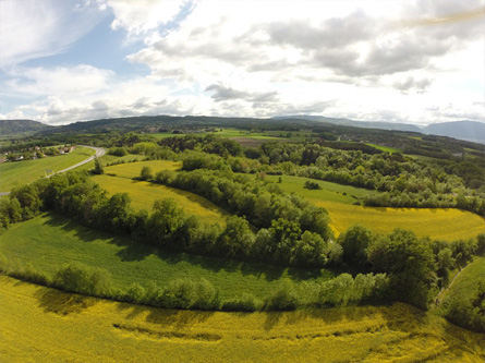 Environnement Eco-activité